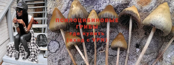прущая мука Алзамай