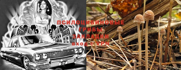 прущая мука Алзамай