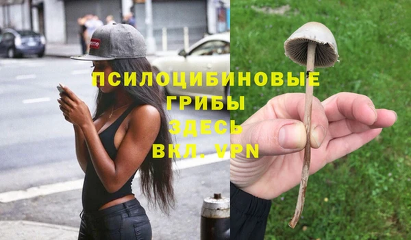 прущая мука Алзамай