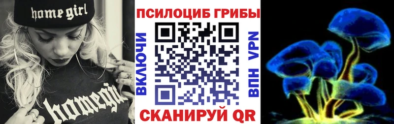 Псилоцибиновые грибы Psilocybine cubensis Пучеж